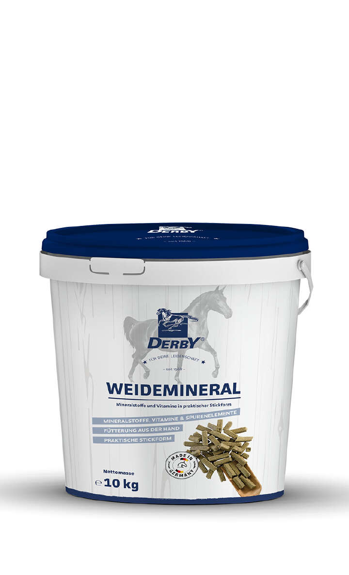 DERBY Weidemineral